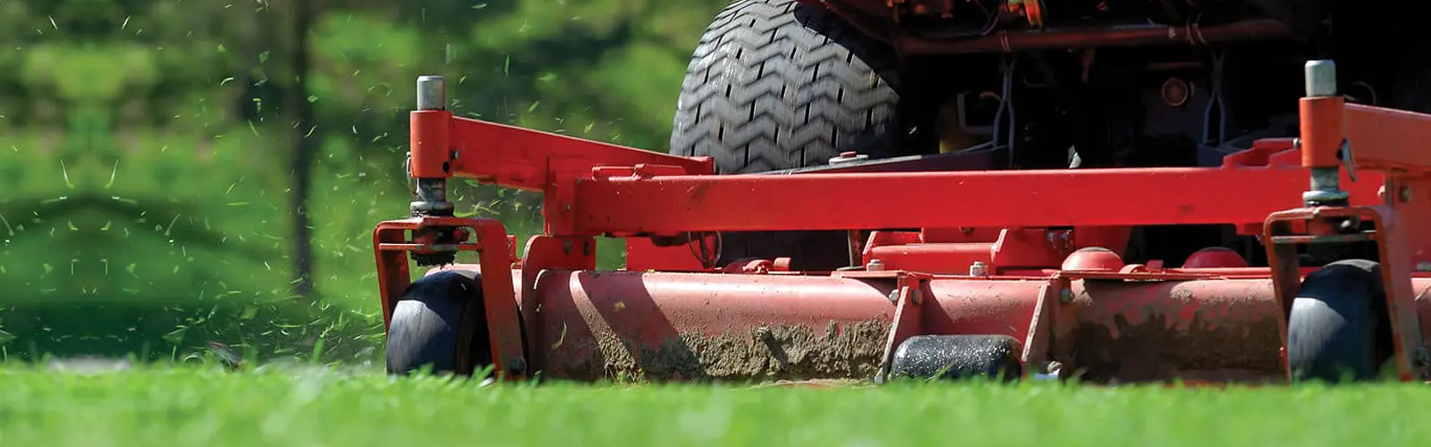 Commercial Lawn Care Services by A and E Cleaning, Inc